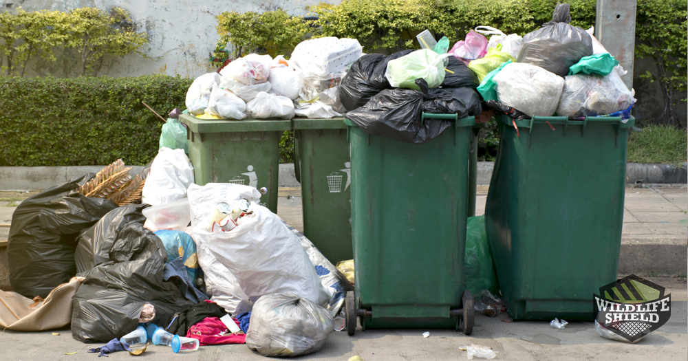 Open Garbage